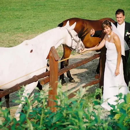 Dworek Nad Stawem 招待所 3*