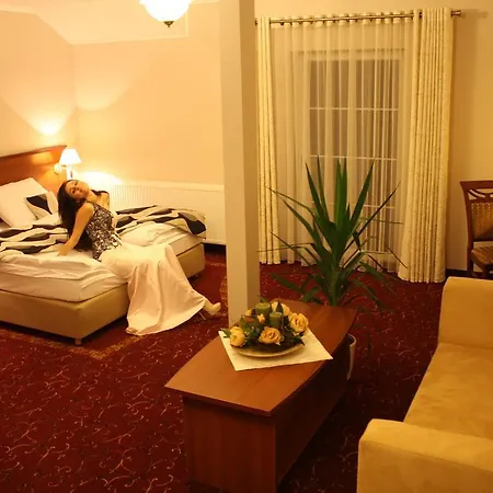 Dworek Nad Stawem 招待所