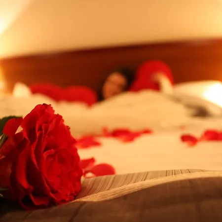 Dworek Nad Stawem 3* Wodzisław Śląski