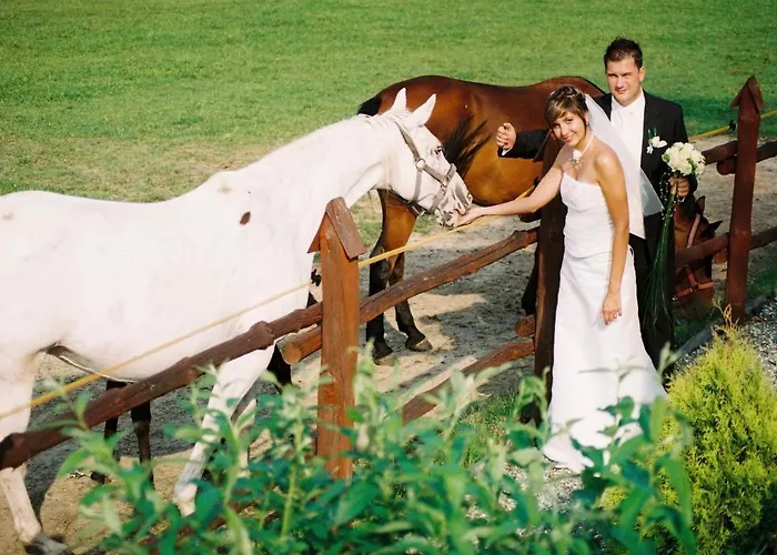 Dworek Nad Stawem Pensión 3*